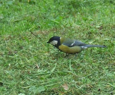 Прикрепленное изображение: 008.jpg